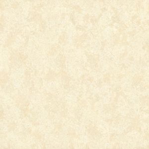 Elegant Tulips 優品鬱金香 | 中米黃 | 800(L)x800(W)x10(Thk)mm