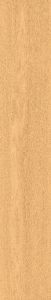 Rembrandt 林布蘭 | 1200(L) x 196(W) x 10(Thk) mm