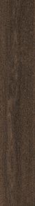 Rembrandt 林布蘭 | 1200(L) x 196(W) x 10(Thk) mm