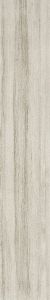Ancient Woodland 天然林 | 900(L)x150(W)mm